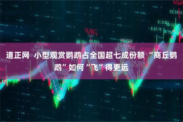 道正网  小型观赏鹦鹉占全国超七成份额 “商丘鹦鹉”如何“飞”得更远