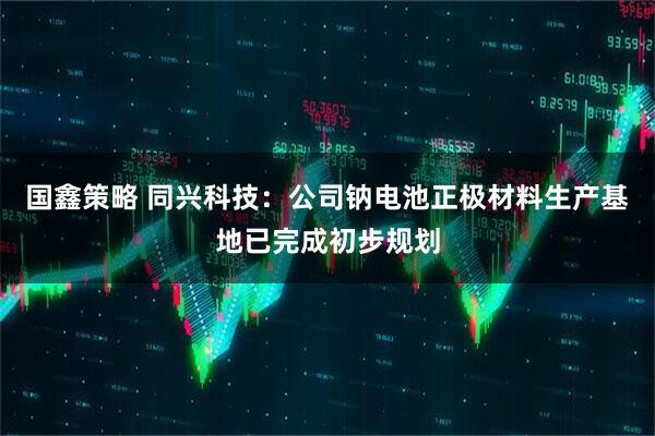 国鑫策略 同兴科技：公司钠电池正极材料生产基地已完成初步规划