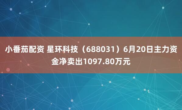 小番茄配资 星环科技(688031)6月20日主力资金净卖出1097.80万元