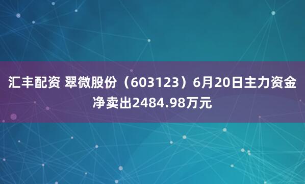 汇丰配资 翠微股份(603123)6月20日主力资金净卖出2484.98万元